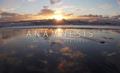 anamnesis